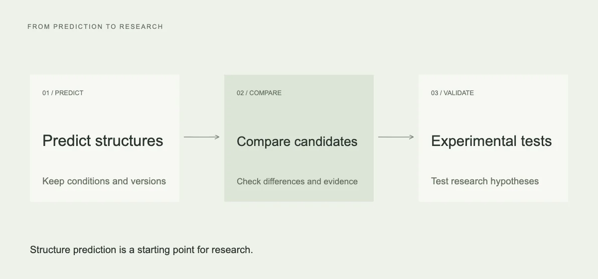 Research workflow illustration from structure prediction to candidate comparison and experimental validation