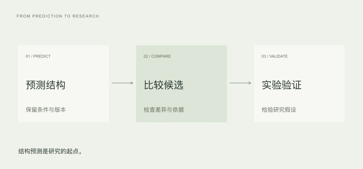 从结构预测到候选比较和实验验证的研究工作流示意